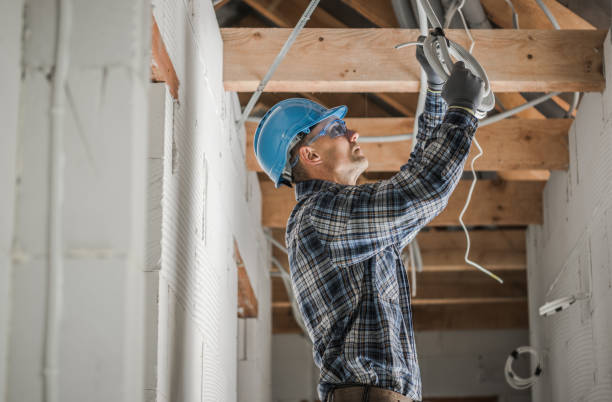 Best Electric Panel Repair  in Purdy, MO